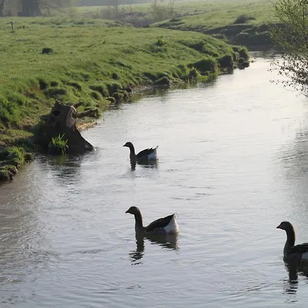 Holiday home Des Lianne, Pays Des 7 Vallees Tres Proche De La Cote D'opale