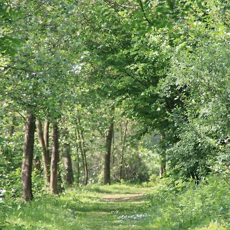 Des Lianne, Pays Des 7 Vallees Tres Proche De La Cote D'opale